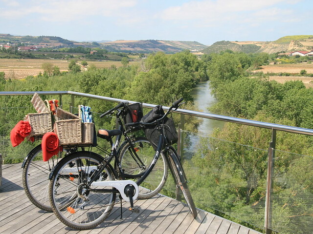 Bike Caminhada Vinhedos Rioja