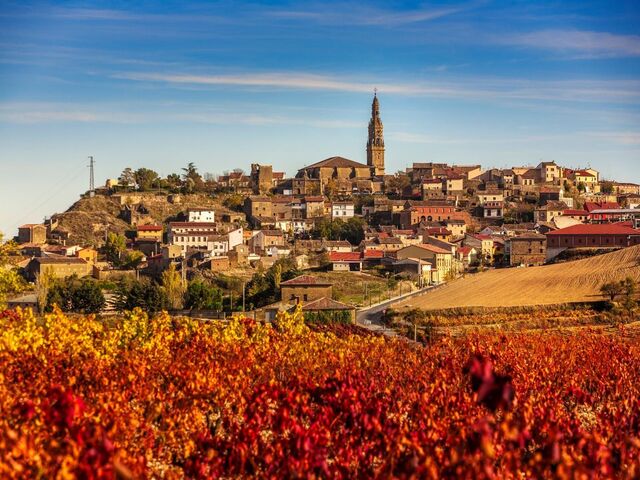 Vista de Briones